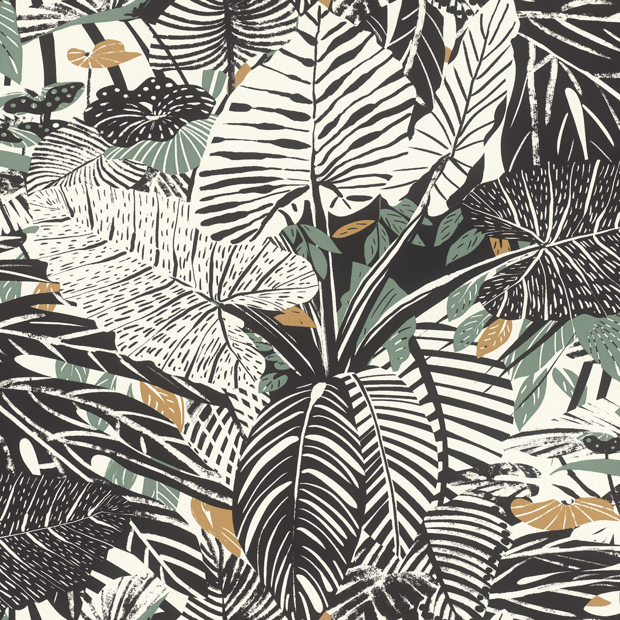 Rasch Rhapsody | WCI Wallpapers